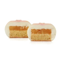 Dinara Kasko Siliconen Vorm Wagashi 34x18x3,7cm Hot