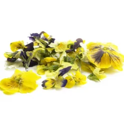 Sosa Gevriesdroogde Violen 5g (290 stuks) Sale