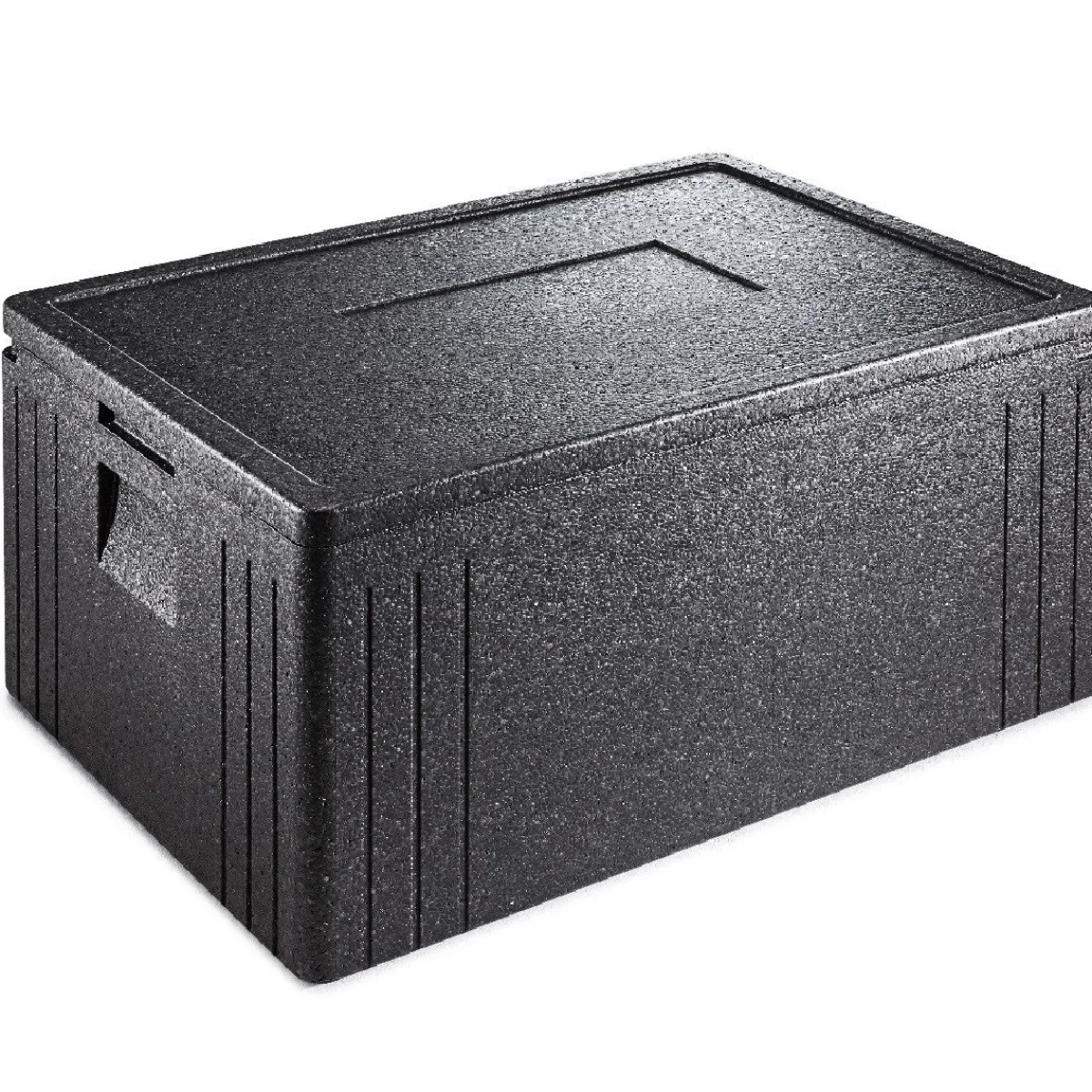 Thermohauser Thermobox Incl. Deksel Eco Line 68,5x48,5x36cm New