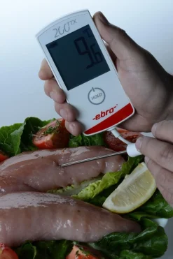 Ebro Thermometer Digitaal Geijkt -30 tot +200ºC TTX200 Hot