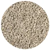 BrandNewCake Zonnebloempitten 250g Outlet