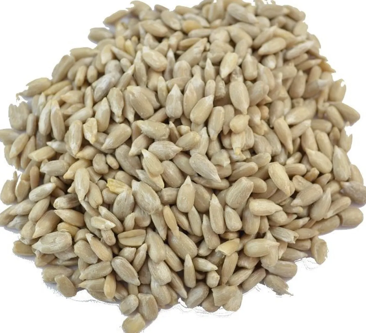 Overig Zonnebloempitten 1kg